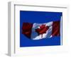 Canadian Flag, Canada-John Warburton-lee-Framed Photographic Print