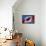 Canadian Flag-supertramp-Framed Stretched Canvas displayed on a wall