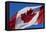 Canadian Flag-supertramp-Framed Stretched Canvas