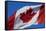 Canadian Flag-supertramp-Framed Stretched Canvas