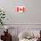 Canadian Flag-vlad_star-Art Print displayed on a wall