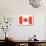 Canadian Flag-vlad_star-Art Print displayed on a wall