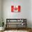 Canadian Flag-daboost-Art Print displayed on a wall