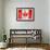 Canadian Flag-daboost-Framed Art Print displayed on a wall