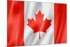 Canadian Flag-daboost-Mounted Art Print