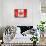 Canadian Flag-daboost-Framed Stretched Canvas displayed on a wall