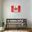 Canadian Flag-daboost-Stretched Canvas displayed on a wall