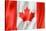 Canadian Flag-daboost-Stretched Canvas