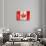 Canadian Flag-daboost-Art Print displayed on a wall