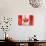 Canadian Flag-daboost-Art Print displayed on a wall