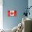 Canadian Flag-daboost-Stretched Canvas displayed on a wall