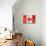 Canadian Flag-daboost-Stretched Canvas displayed on a wall
