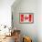 Canadian Flag-daboost-Framed Art Print displayed on a wall