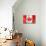 Canadian Flag-daboost-Mounted Art Print displayed on a wall