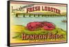 Canadian Fresh Lobster-null-Framed Stretched Canvas