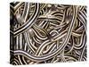 Canadian Garter Snake-David Northcott-Stretched Canvas