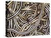 Canadian Garter Snake-David Northcott-Stretched Canvas