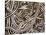 Canadian Garter Snake-David Northcott-Stretched Canvas