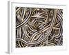 Canadian Garter Snake-David Northcott-Framed Photographic Print