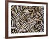 Canadian Garter Snake-David Northcott-Framed Photographic Print