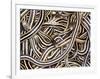 Canadian Garter Snake-David Northcott-Framed Photographic Print