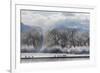 Canadian Geese, Rio Grande River, New Mexico-Zandria Muench Beraldo-Framed Premium Photographic Print
