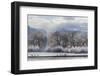 Canadian Geese, Rio Grande River, New Mexico-Zandria Muench Beraldo-Framed Photographic Print