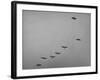 Canadian Geese-Andreas Feininger-Framed Photographic Print