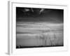 Canadian Geese-Andreas Feininger-Framed Premium Photographic Print