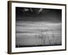 Canadian Geese-Andreas Feininger-Framed Premium Photographic Print