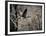 Canadian Goose in Flight 3-Jai Johnson-Framed Giclee Print