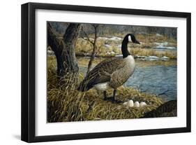 Canadian Goose-Jeff Tift-Framed Giclee Print