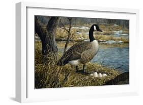 Canadian Goose-Jeff Tift-Framed Giclee Print