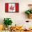 Canadian Hemp Flag-Trends International-Framed Poster displayed on a wall