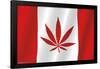 Canadian Hemp Flag-Trends International-Framed Poster