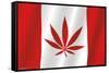 Canadian Hemp Flag-Trends International-Framed Stretched Canvas