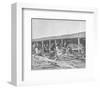 Canadian Horses In Shelters-Sir Alfred Munnings-Framed Premium Giclee Print