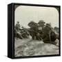 Canadian Infantry Rush a German Position, World War I, 1914-1918-null-Framed Stretched Canvas