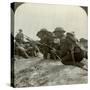 Canadian Infantry Rush a German Position, World War I, 1914-1918-null-Stretched Canvas