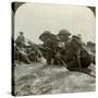 Canadian Infantry Rush a German Position, World War I, 1914-1918-null-Stretched Canvas