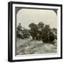 Canadian Infantry Rush a German Position, World War I, 1914-1918-null-Framed Photographic Print