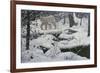 Canadian Lynx and Snowshoe Hare-Jeff Tift-Framed Giclee Print
