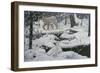 Canadian Lynx and Snowshoe Hare-Jeff Tift-Framed Premium Giclee Print