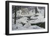 Canadian Lynx and Snowshoe Hare-Jeff Tift-Framed Premium Giclee Print