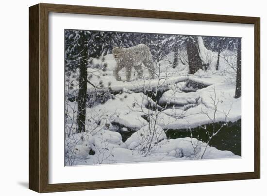 Canadian Lynx and Snowshoe Hare-Jeff Tift-Framed Giclee Print