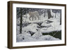 Canadian Lynx and Snowshoe Hare-Jeff Tift-Framed Giclee Print