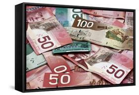 Canadian Money-AddyTsl-Framed Stretched Canvas