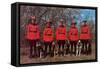 Canadian Mounties with Dogs-null-Framed Stretched Canvas