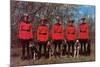 Canadian Mounties with Dogs-null-Mounted Art Print