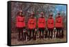 Canadian Mounties with Dogs-null-Framed Stretched Canvas